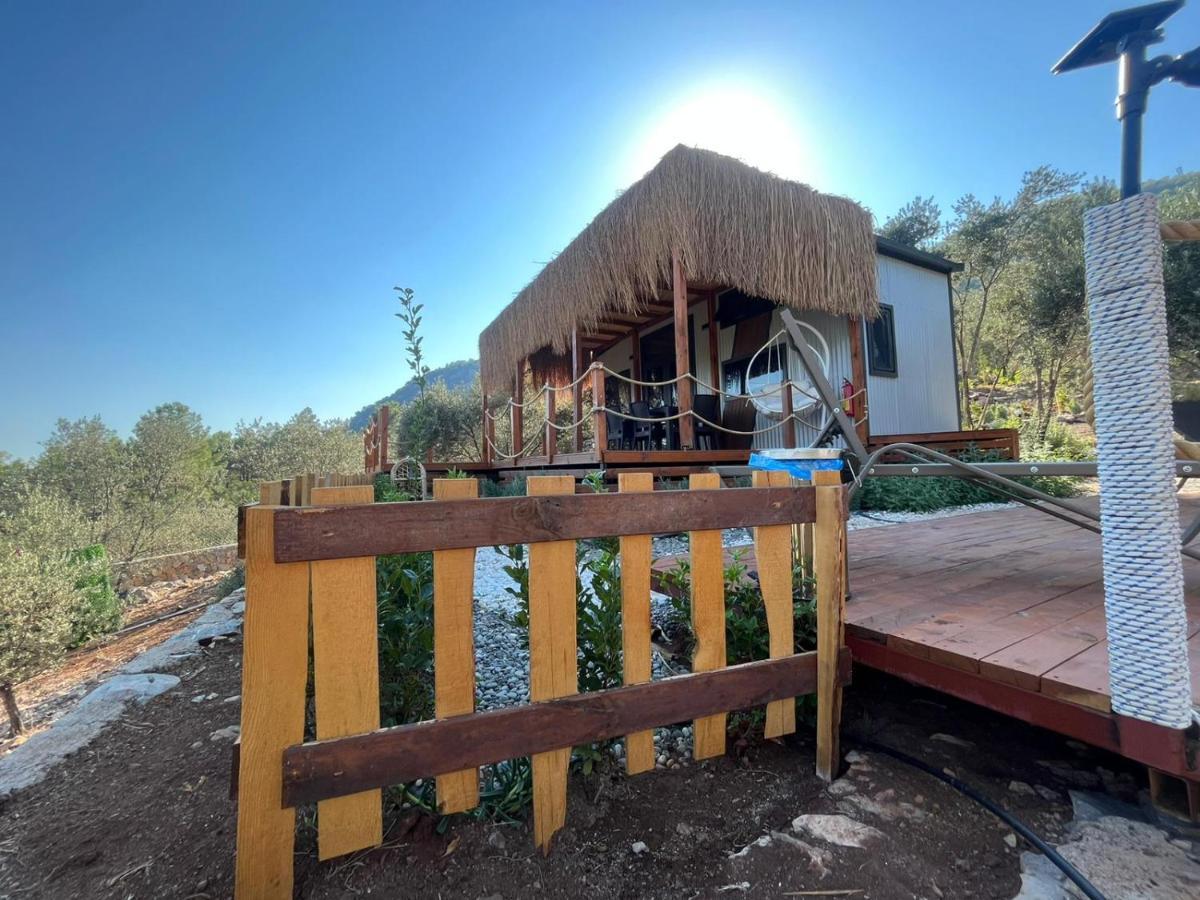 Villa Lovin Goecek Tiny House Butterfly à Gokceovacik Extérieur photo